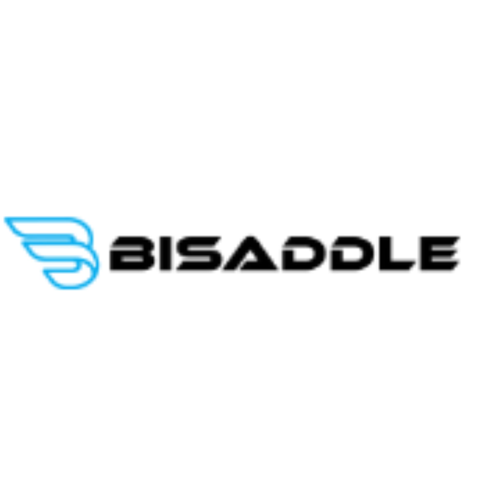 Bisaddle Flex